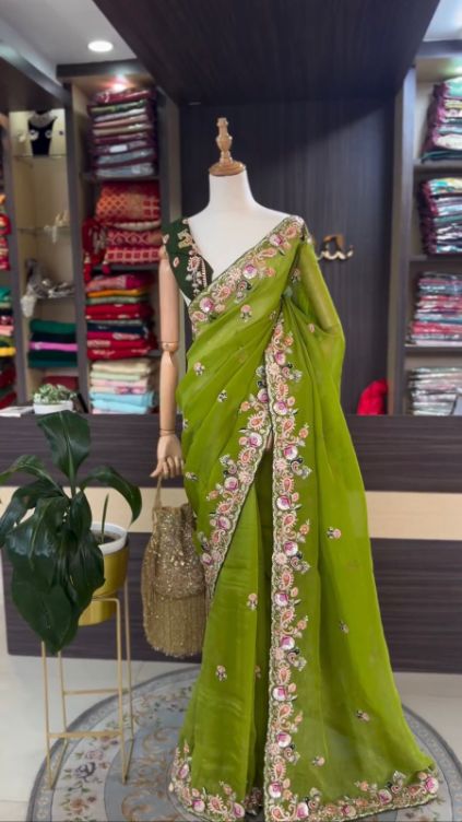 Elegant Jimmy Chu Saree with Embroidery